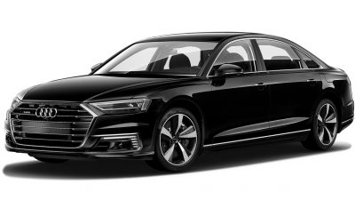 Private Chauffeur Service in Harbison Canyon, County of San Diego 12
