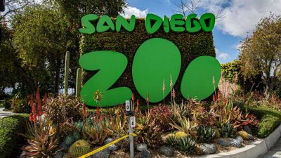 Guide to the San Diego Zoo
