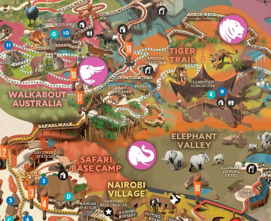 Guide to the San Diego Zoo Safari Park 4