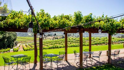 San Diego Chauffeur Service to Orfila Vineyards and Winery